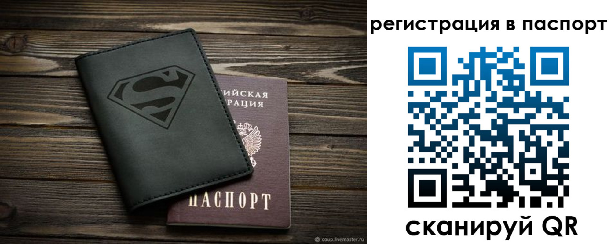 прописка для школы в Вологодской области